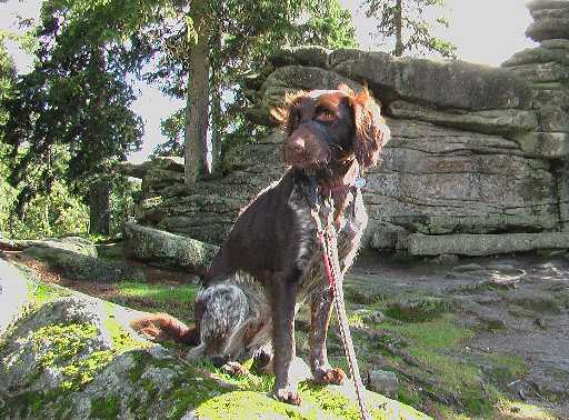 Alina vor dem Dreisesselgipfel