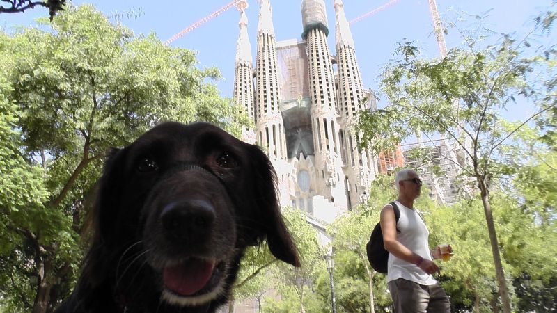 Alina in Barcelona